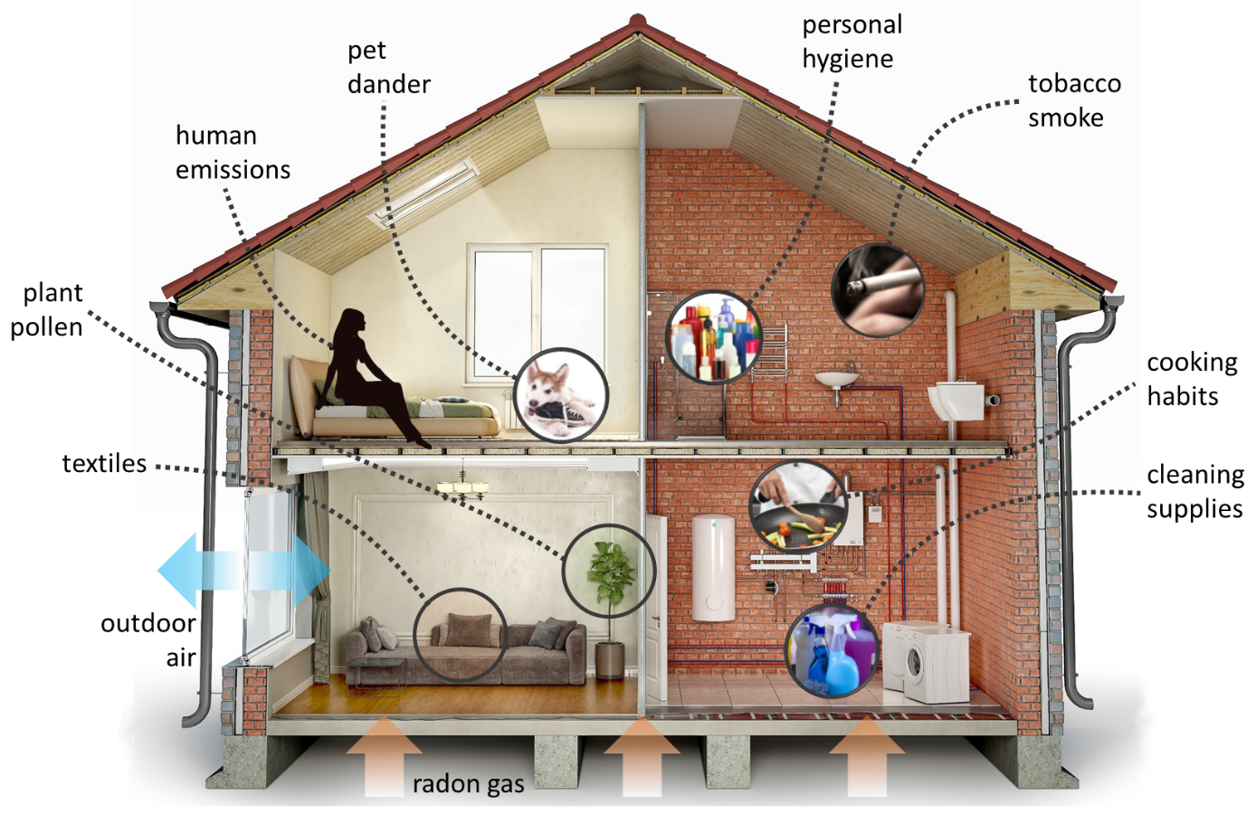 Illustration of house showing various sources of indoor pollutants inside